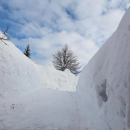 Chalet Chaloupka Harrachov