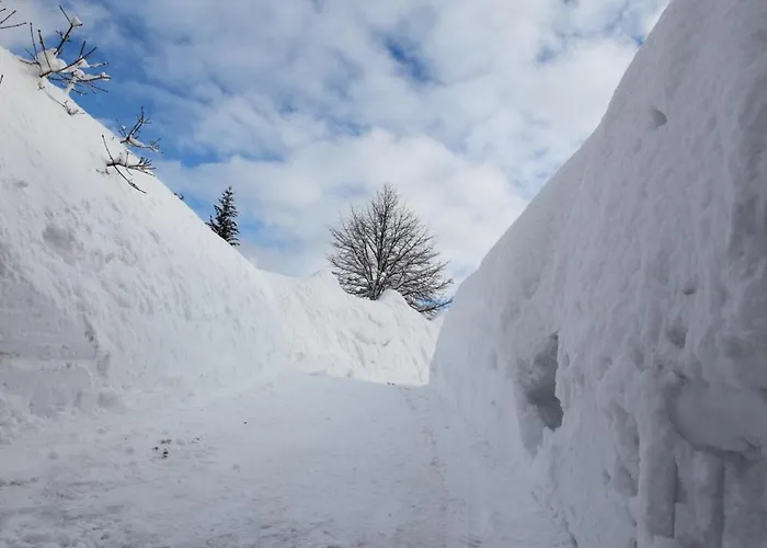 Alpesi faház Chaloupka Harrachov